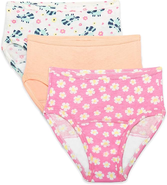 Fruit of the Loom girls Toddler 3-Pack Training Pants, 3 Pack - Toddler Training Pant Assortment, 3T US